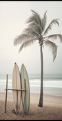 Tablas de surf de playa serena