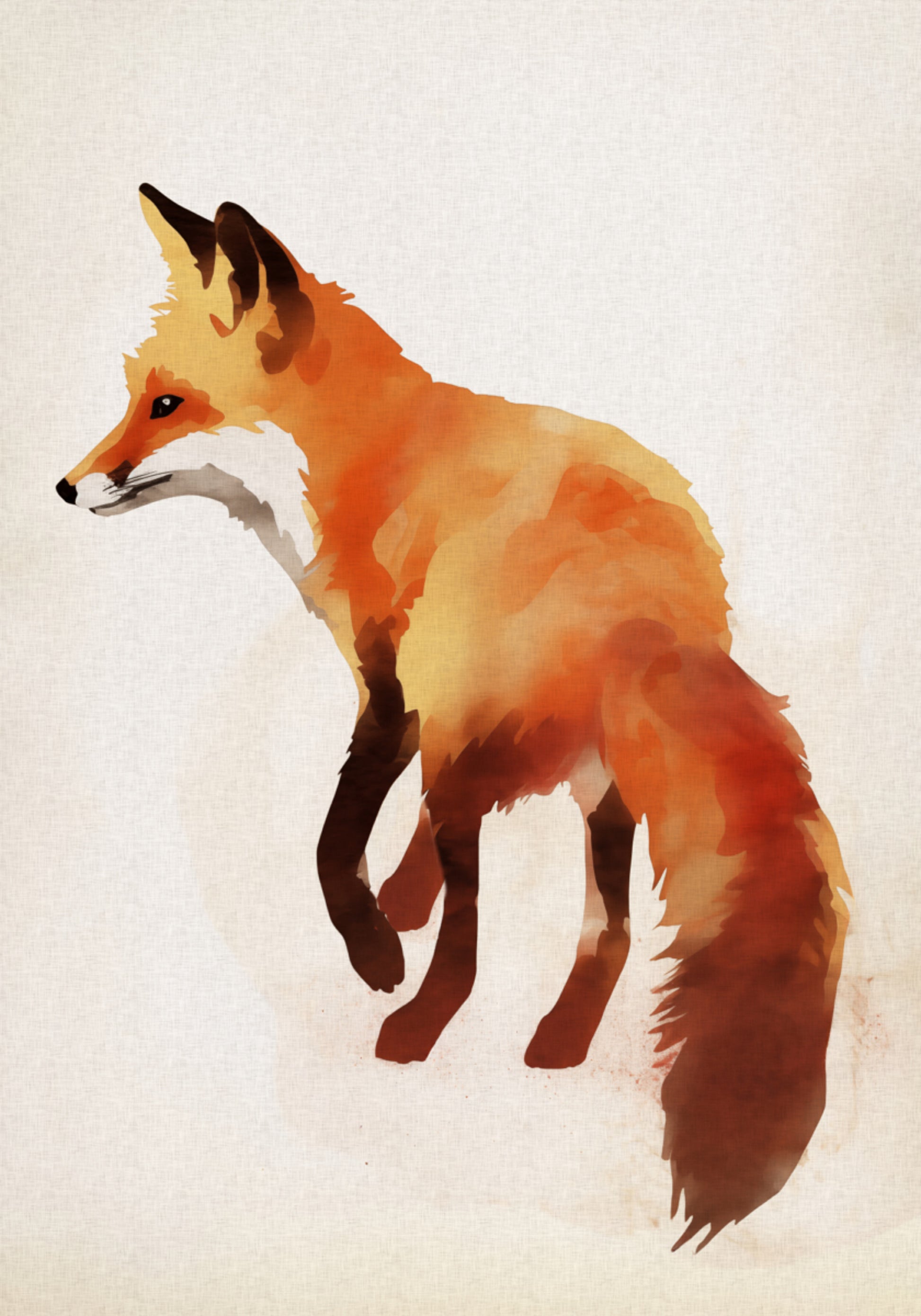 Ilustración del zorro rojo