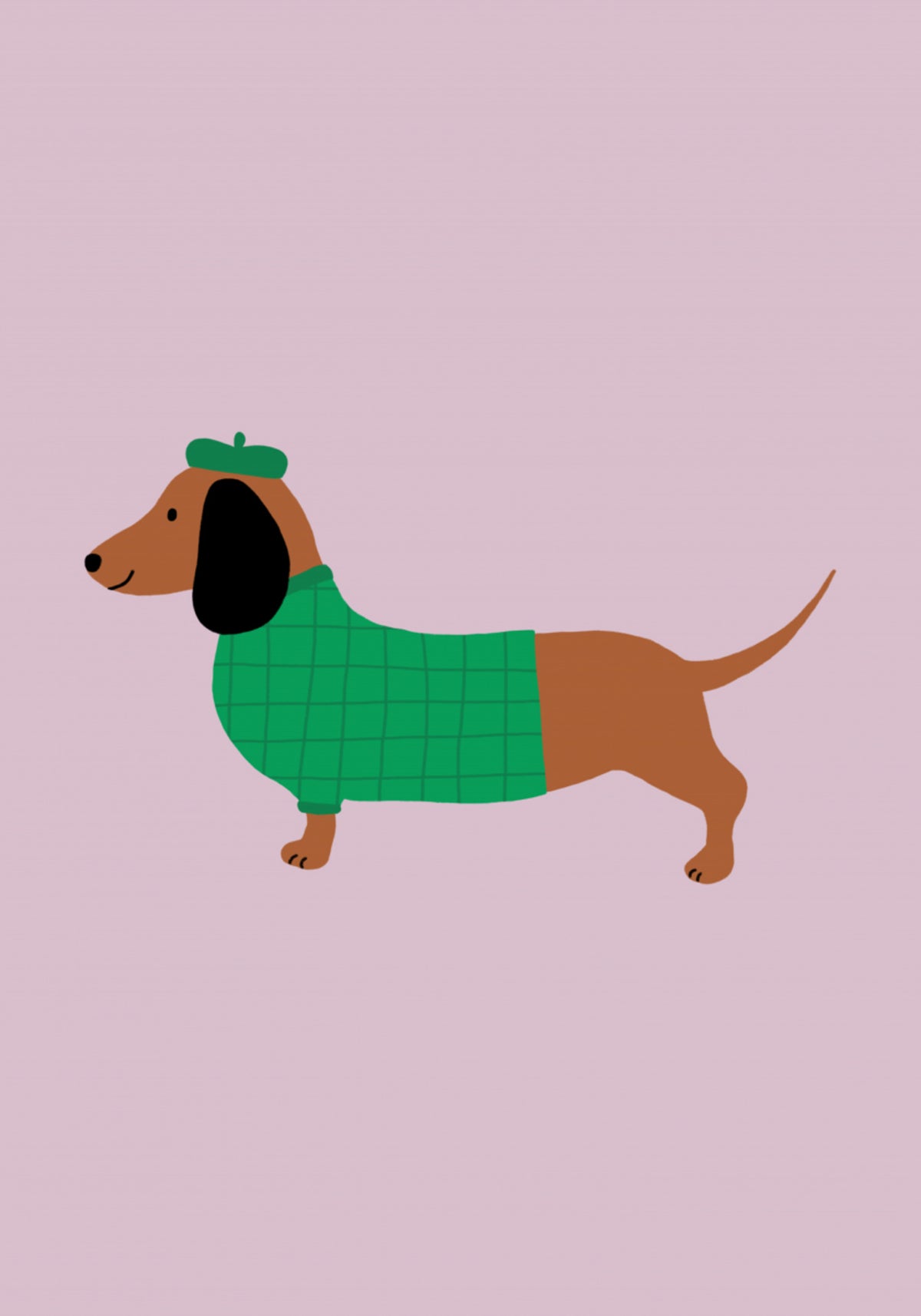 Perro elegante con suéter