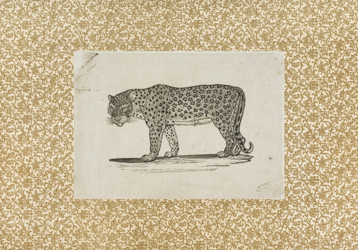 Bosquejo de leopardo vintage