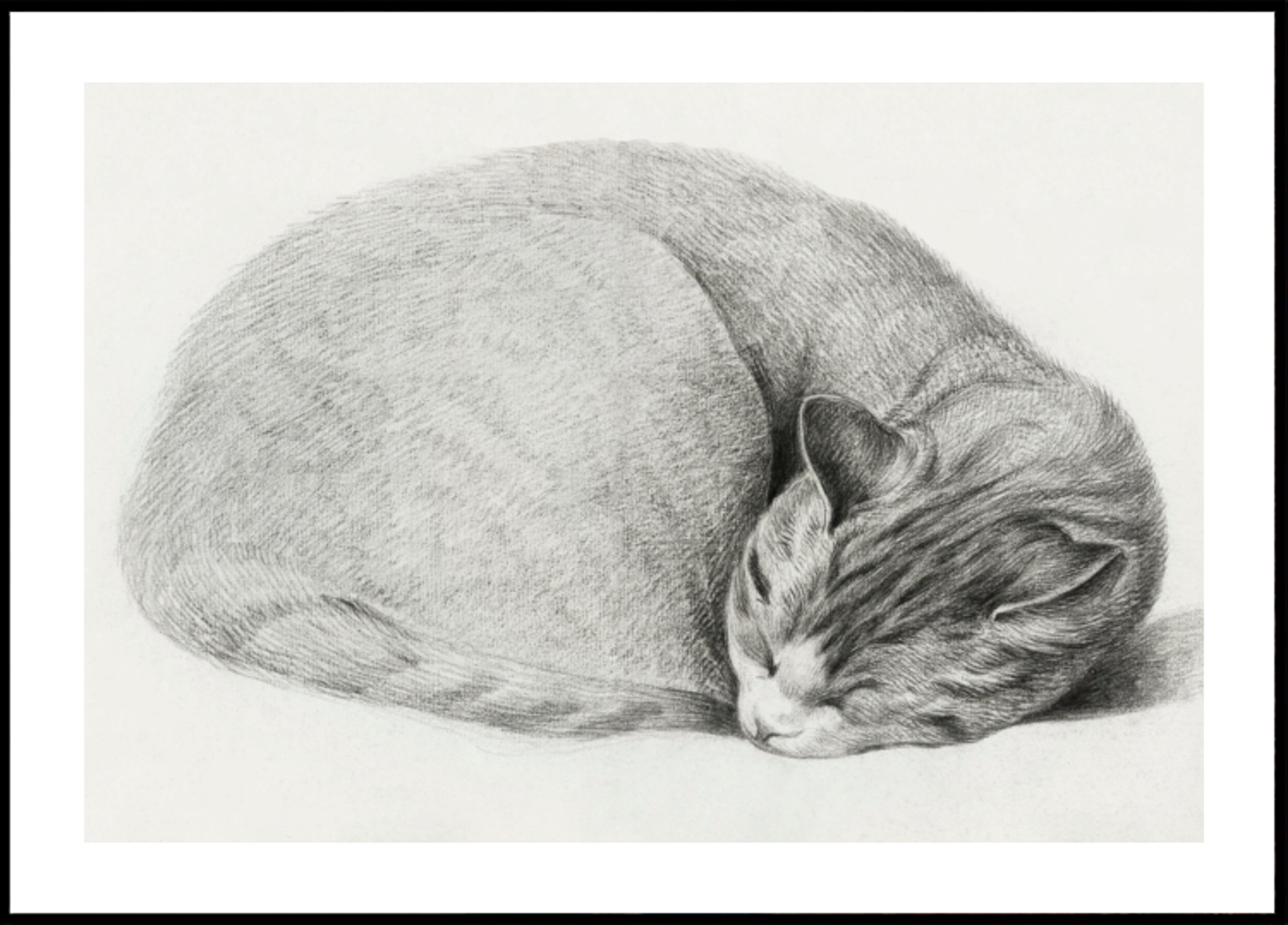 Gato dormido tumbado enrollado por Jean Bernard (1775 1883)