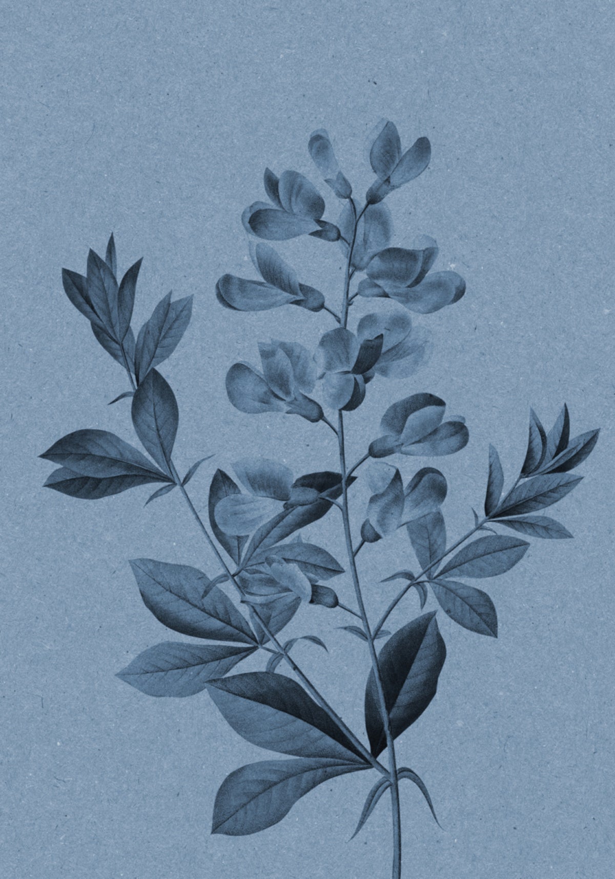 Botánico azul elegante