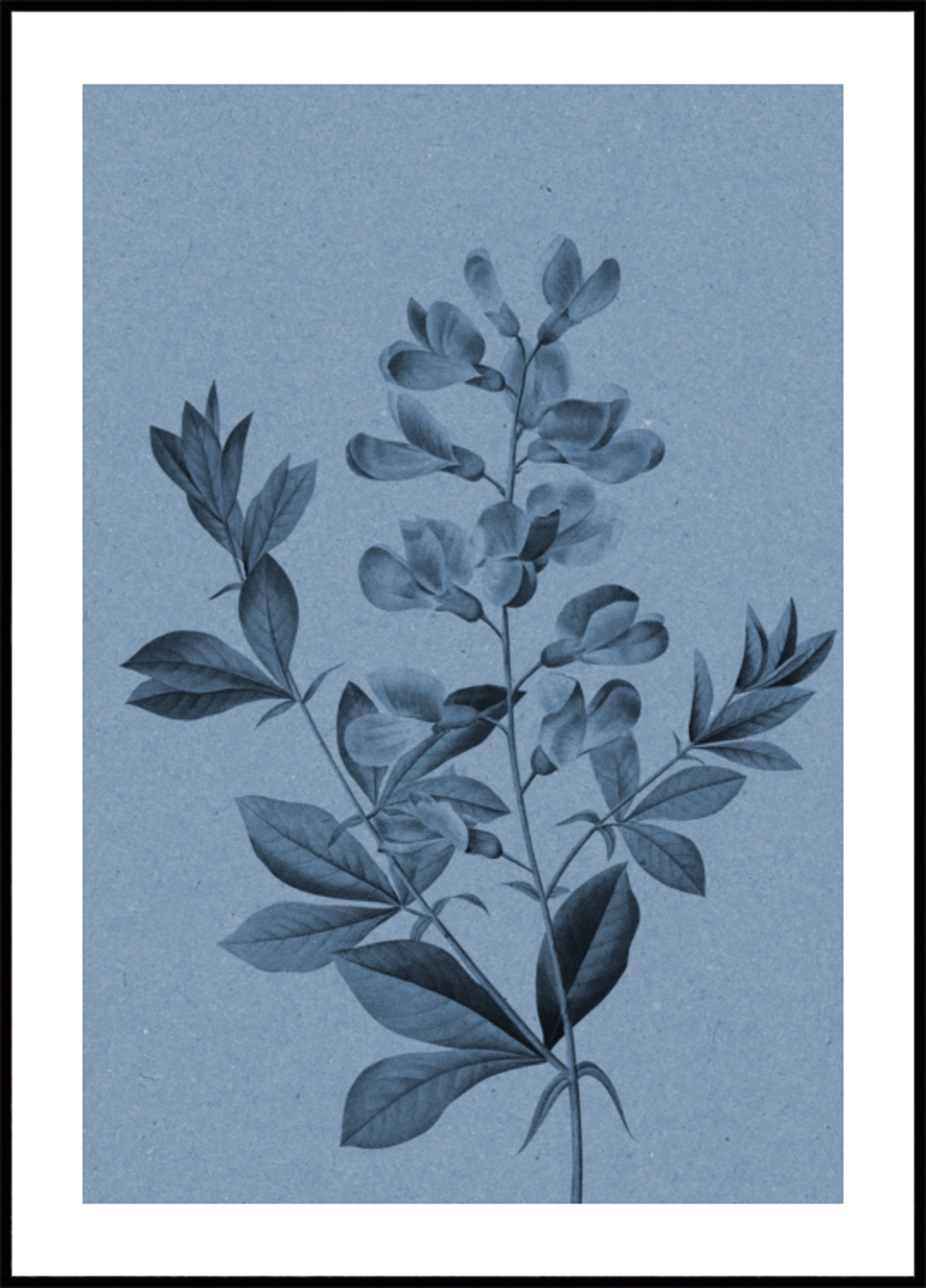 Botánico azul elegante