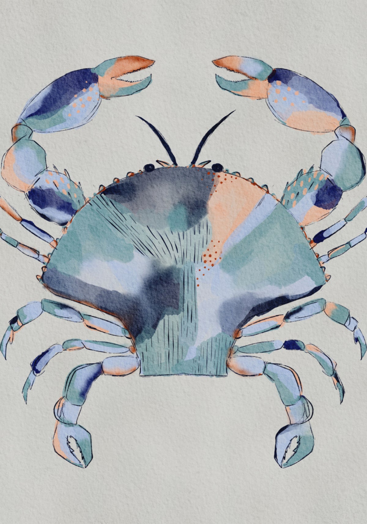 Pintura de cangrejo azul costero