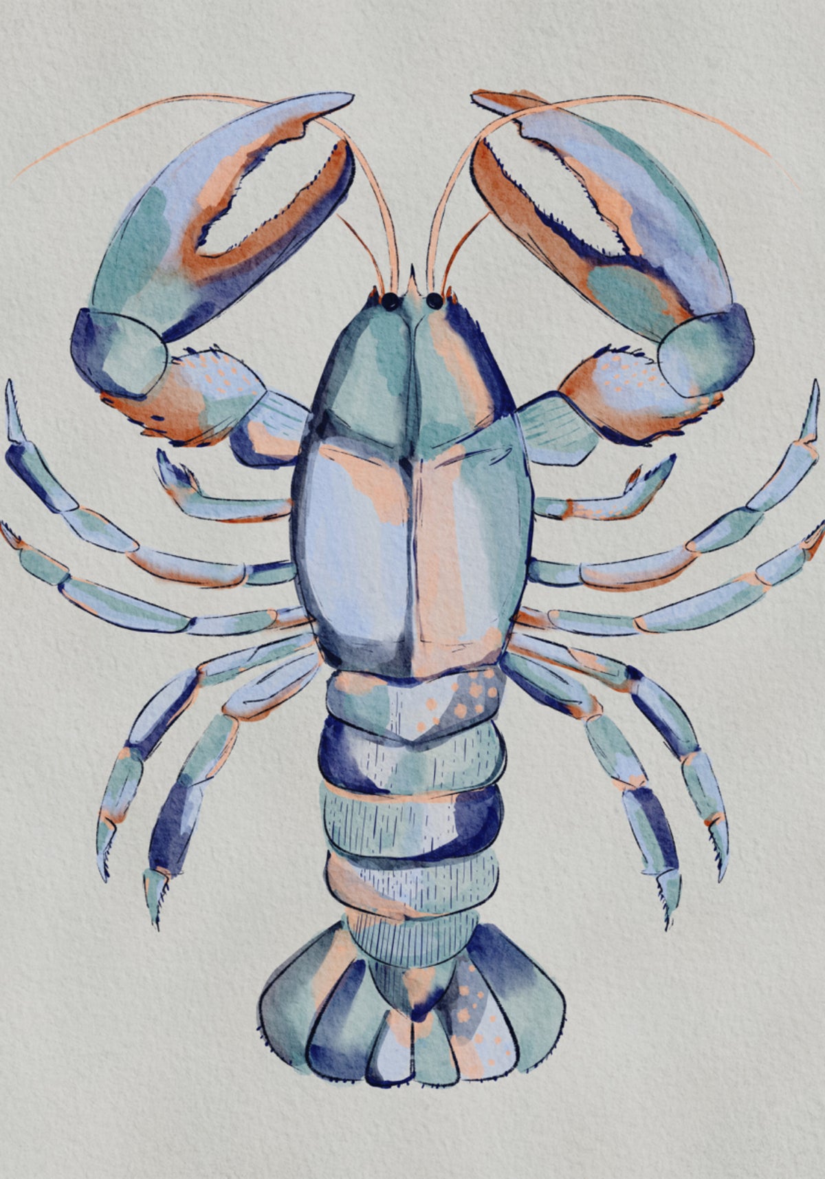 Langosta Azul Acuarela