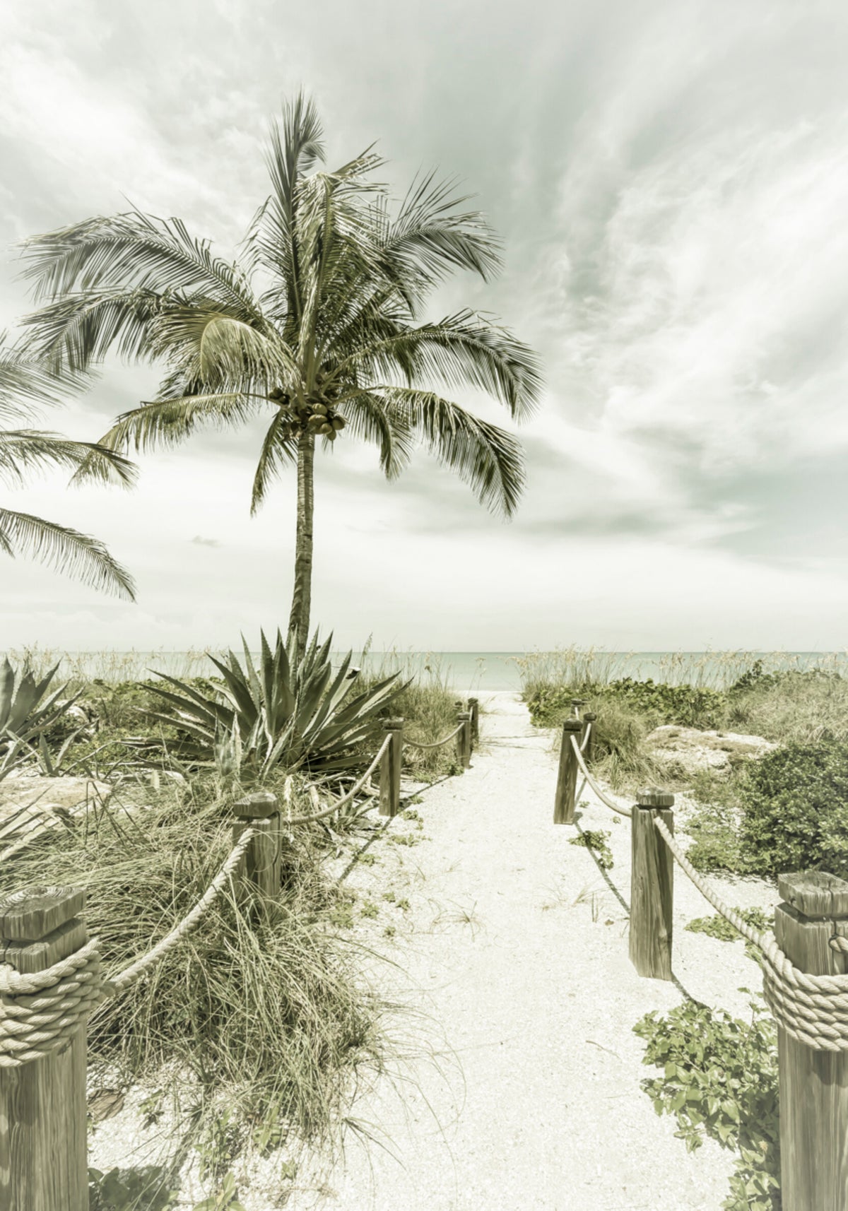 Camino de la playa tropical