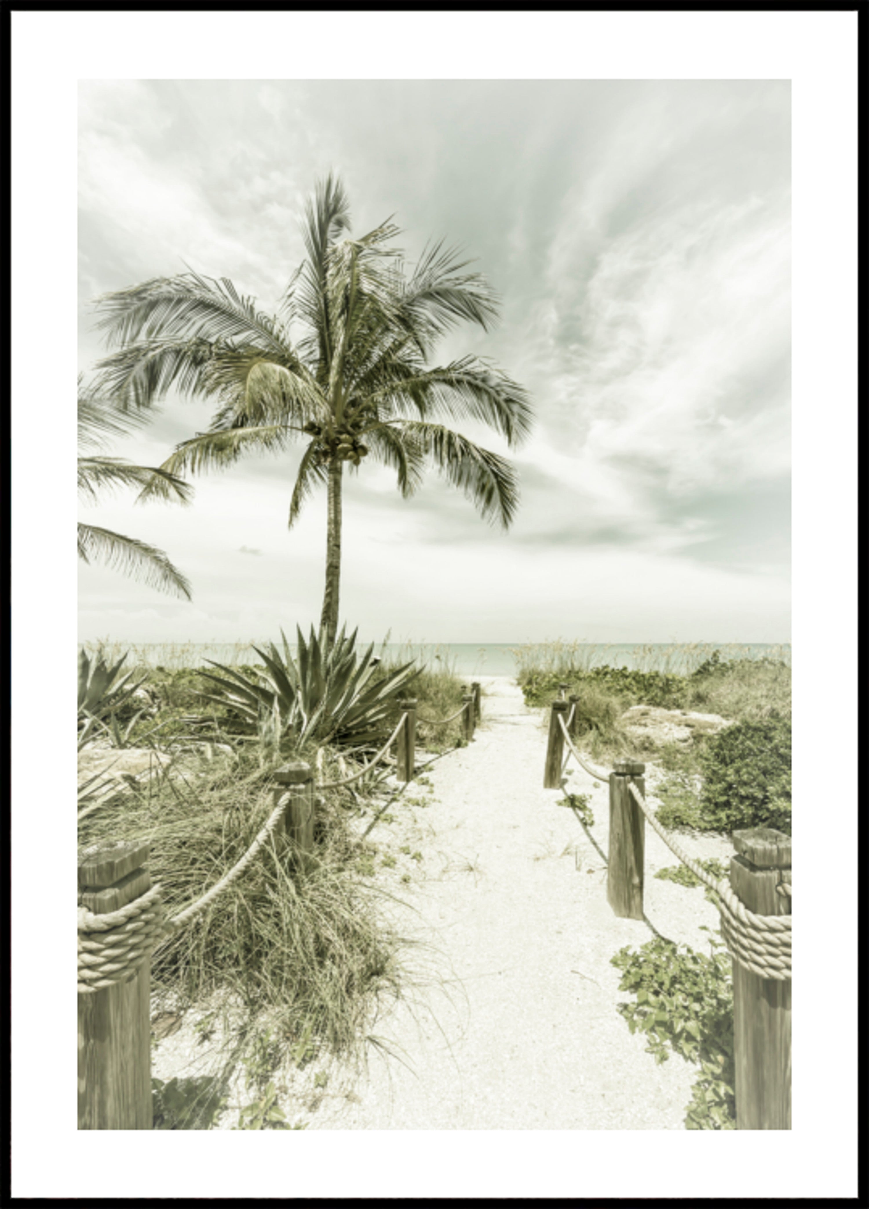Camino de la playa tropical