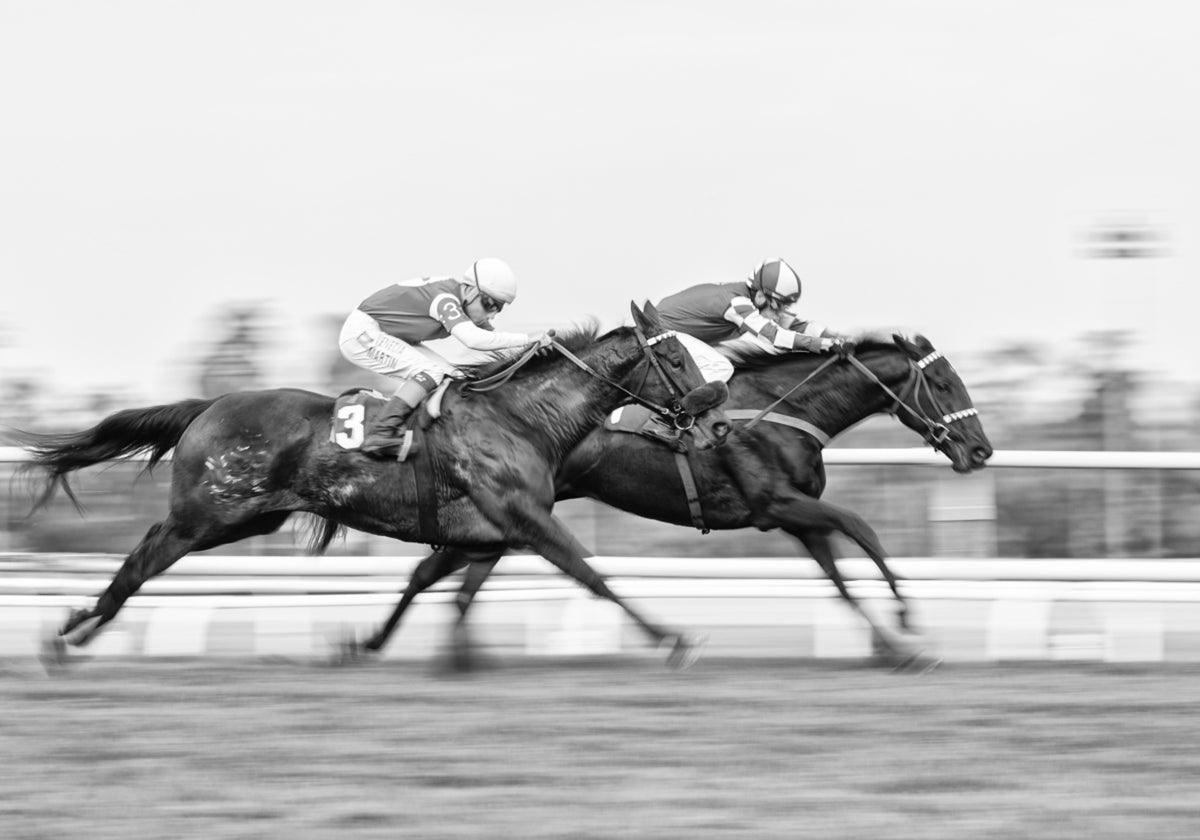 Carrera de caballos dinámica