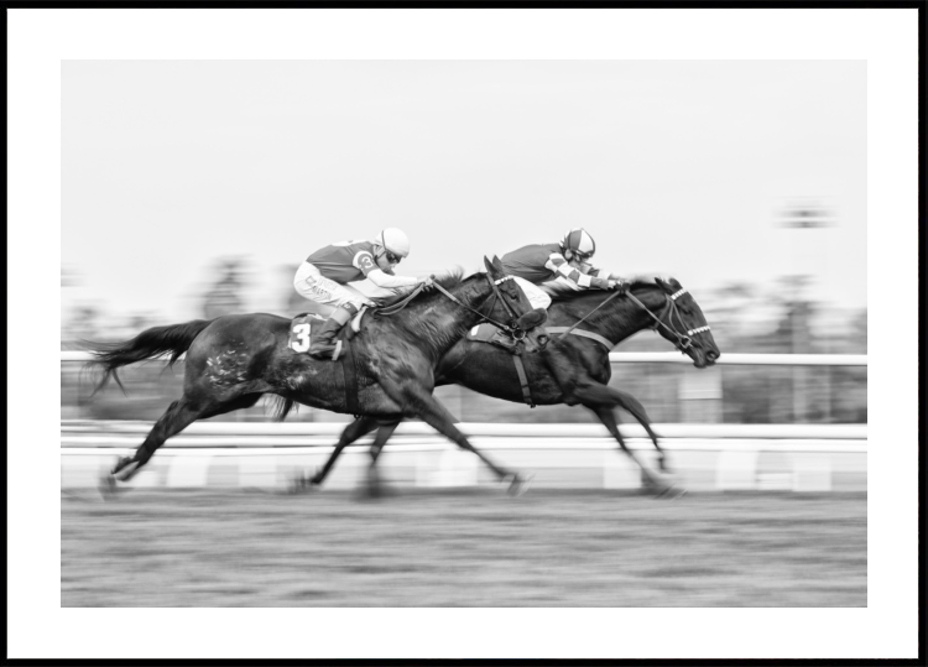 Carrera de caballos dinámica