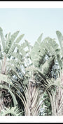 Tropical Whispers