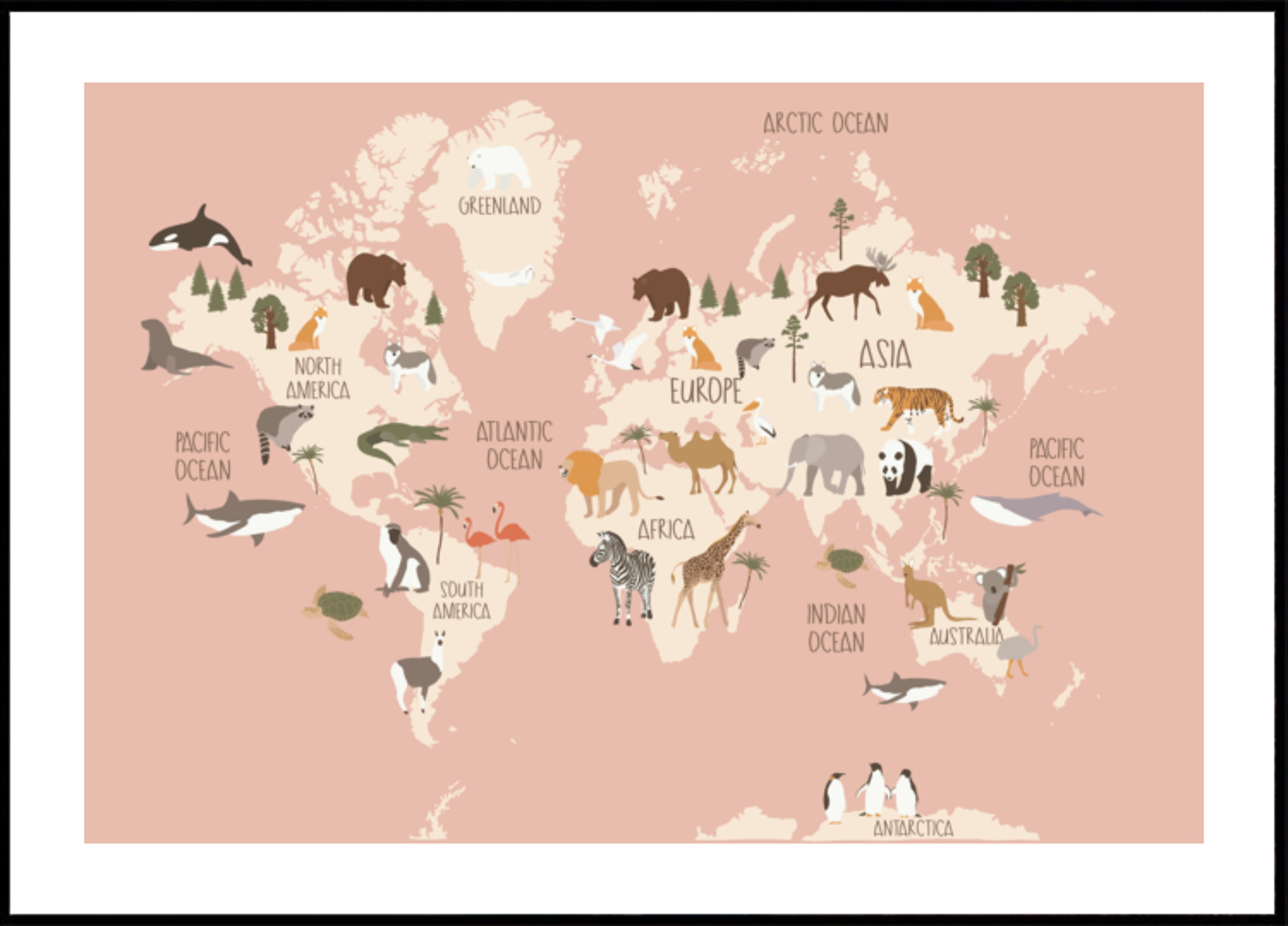 Guía mundial de vida silvestre