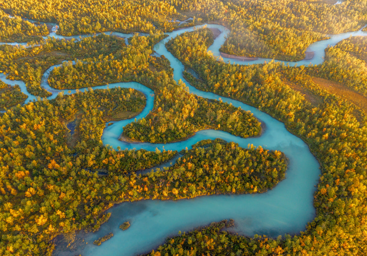 Río Sinuoso Otoño Bosque