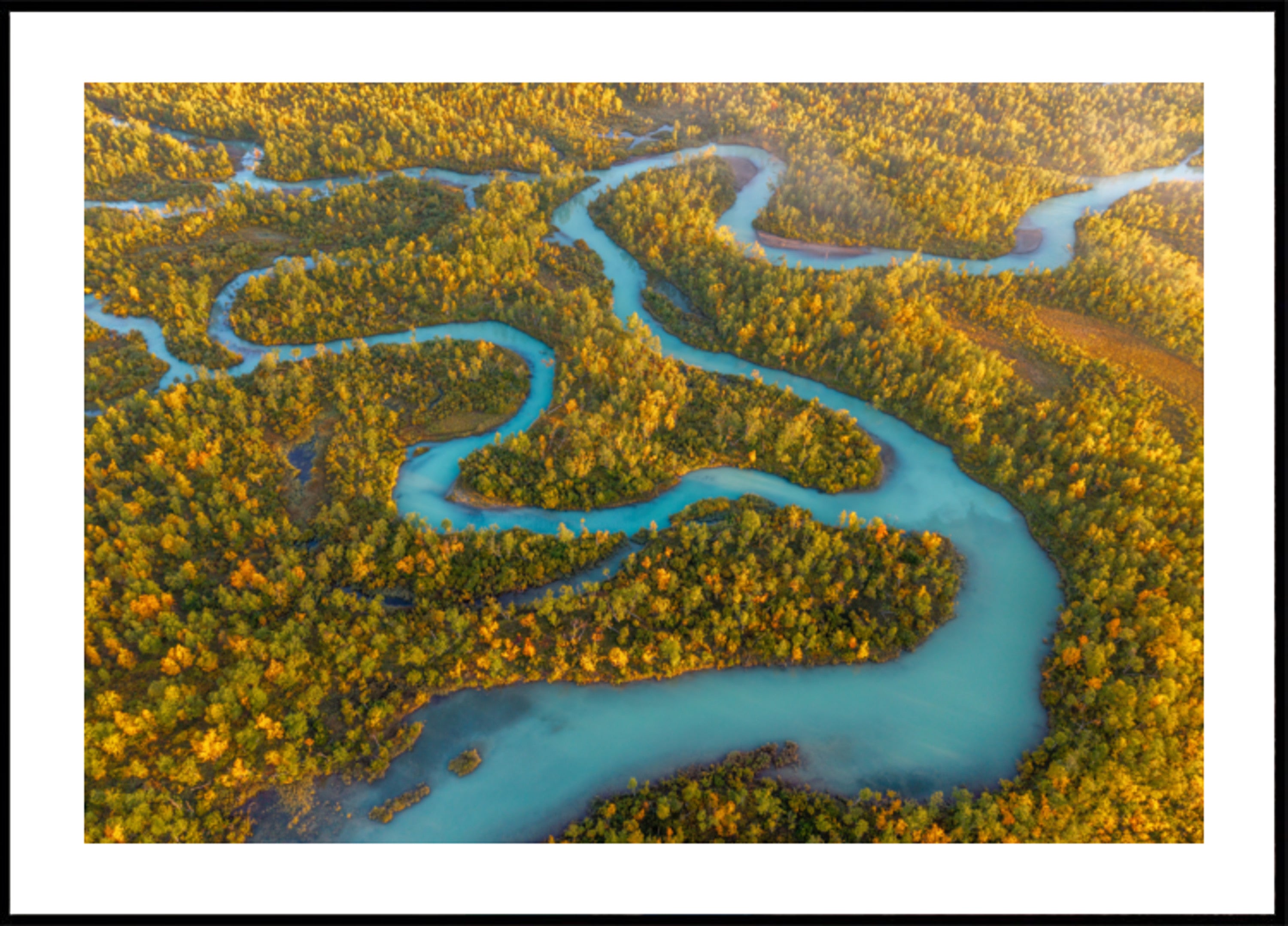Río Sinuoso Otoño Bosque