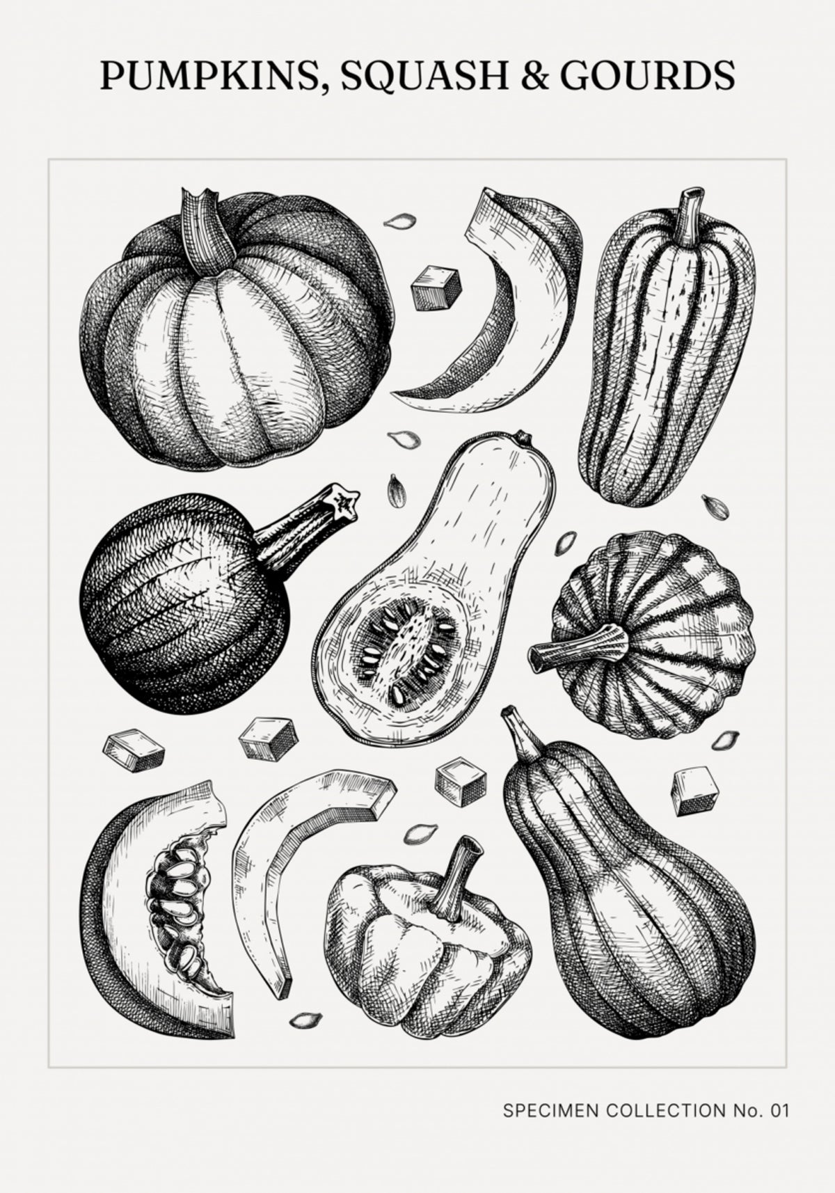 Calabazas botánicas vintage