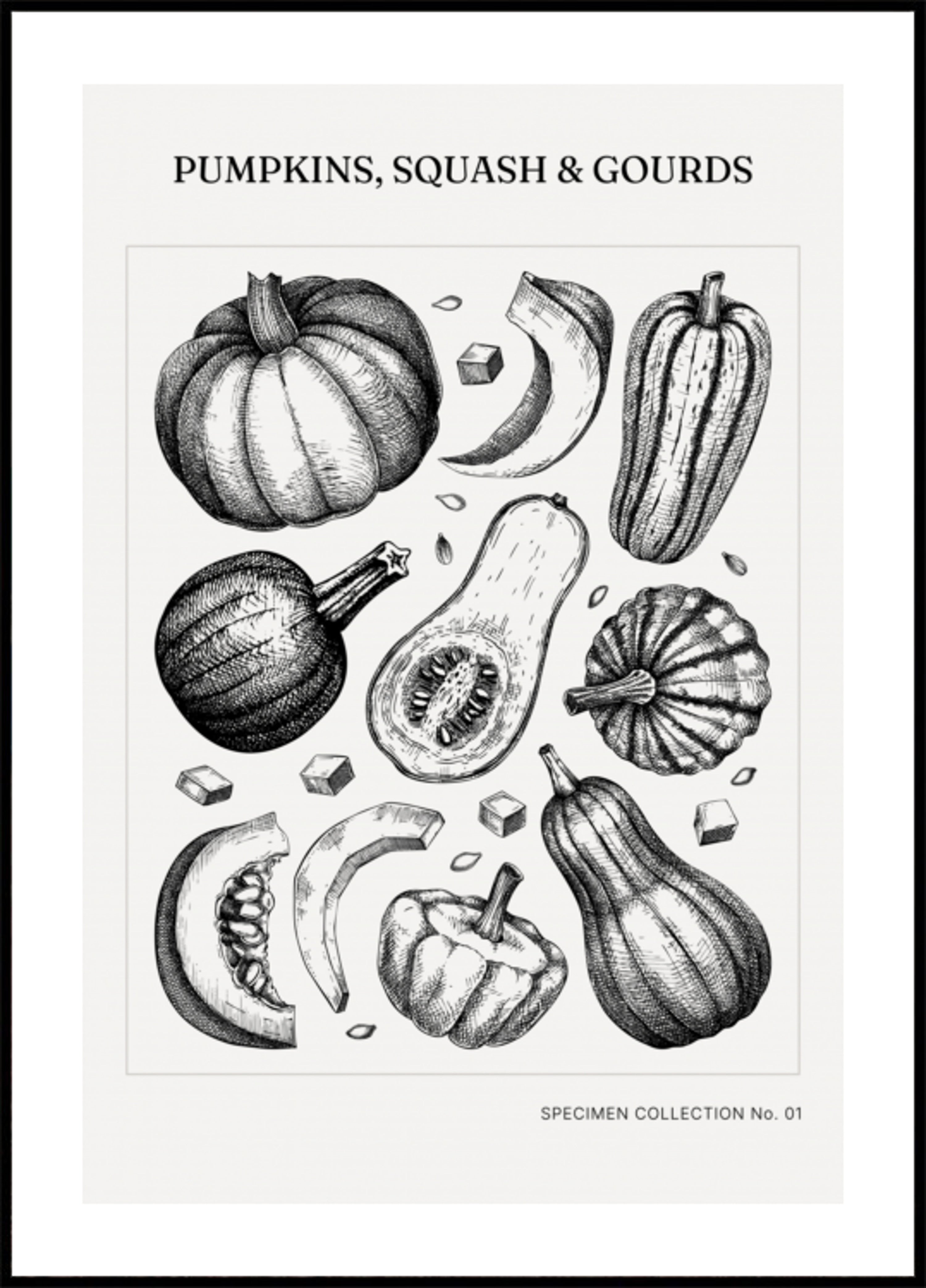 Calabazas botánicas vintage