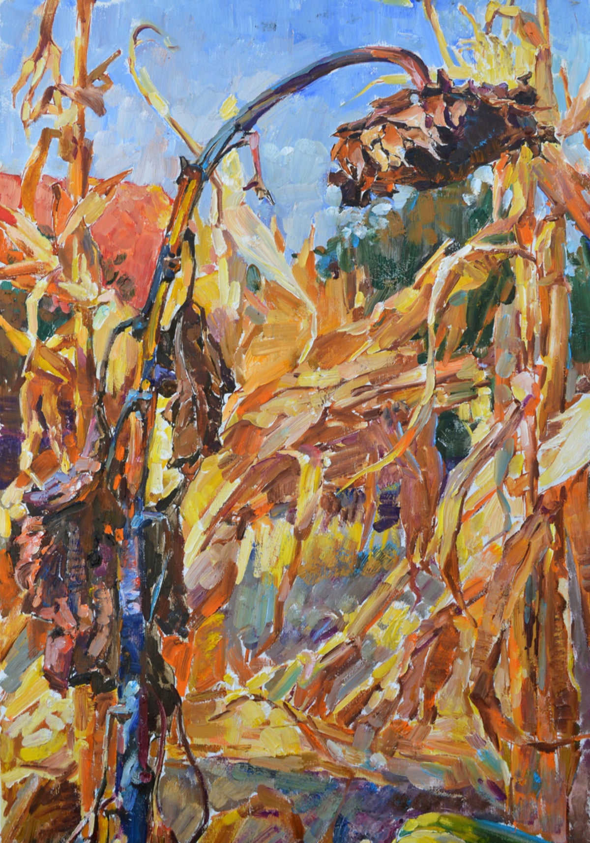 Cosecha de otoño dorado