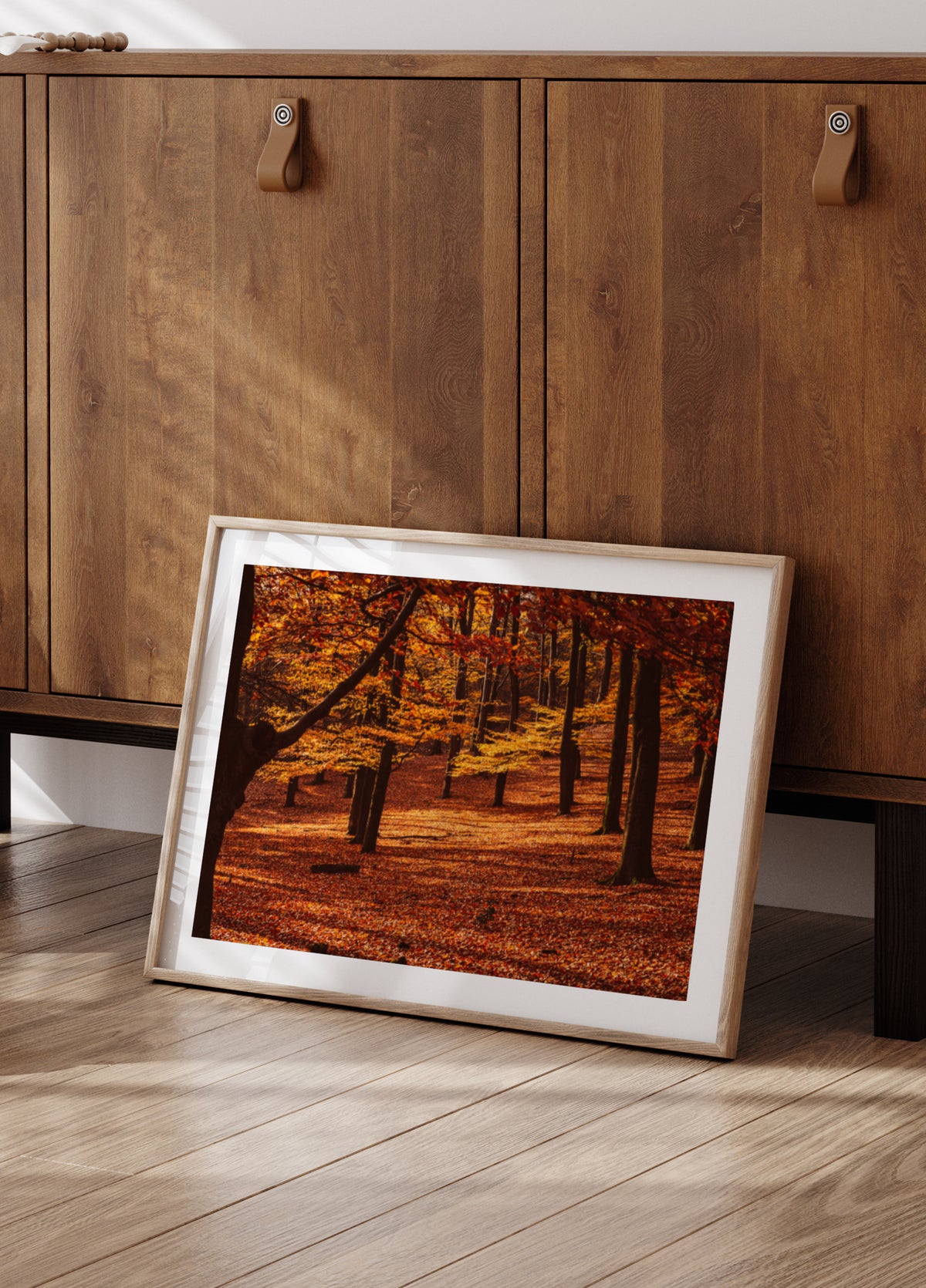 Bosque Dorado De Otoño