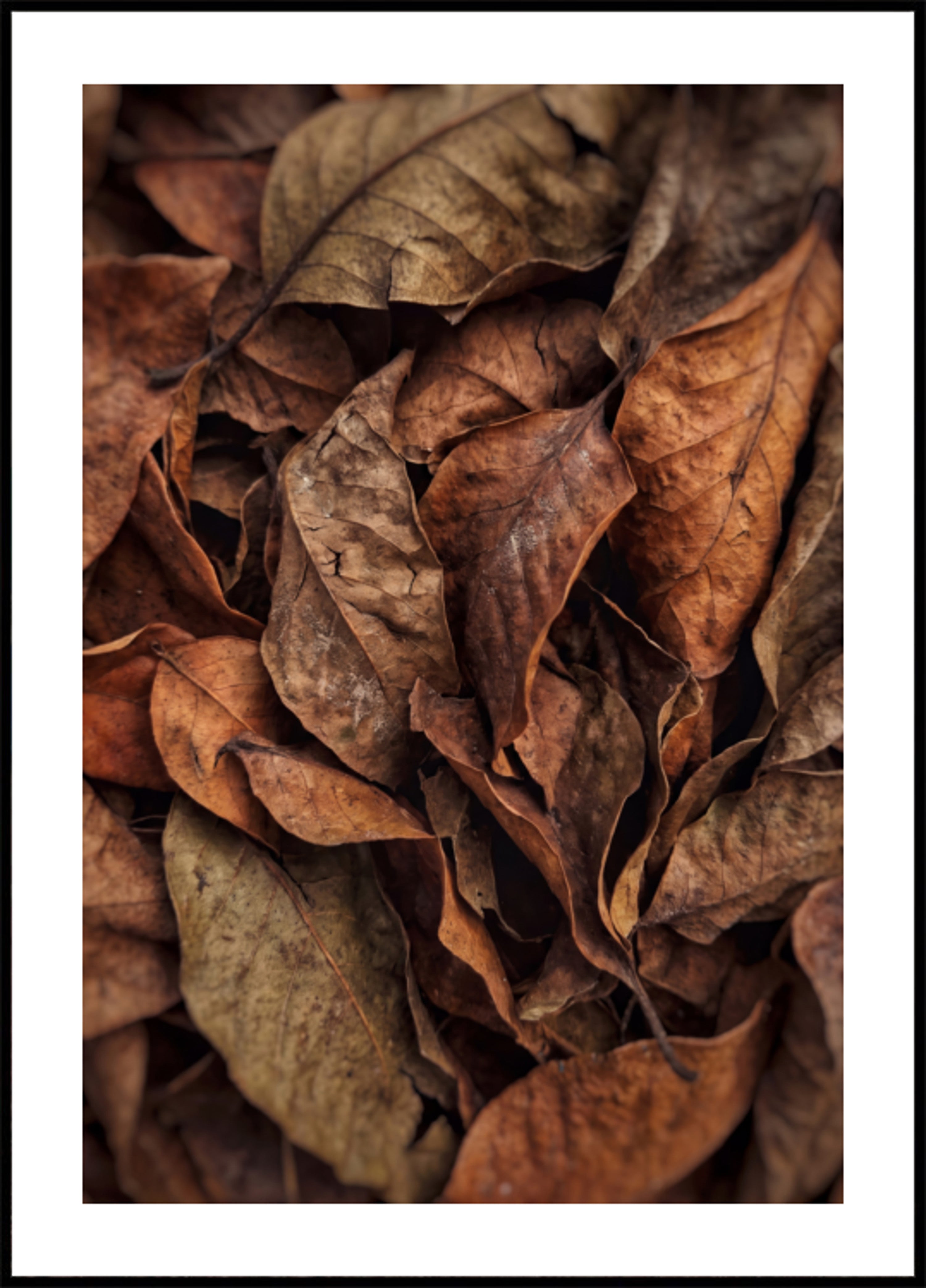 Hojas de otoño con textura