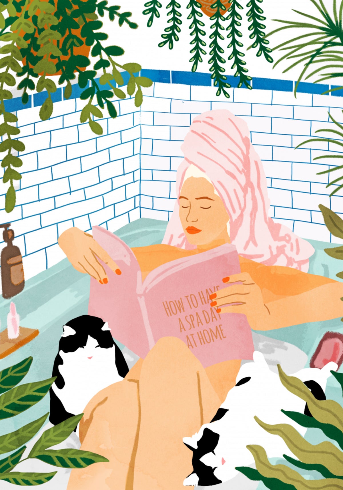 Día de spa con gatos