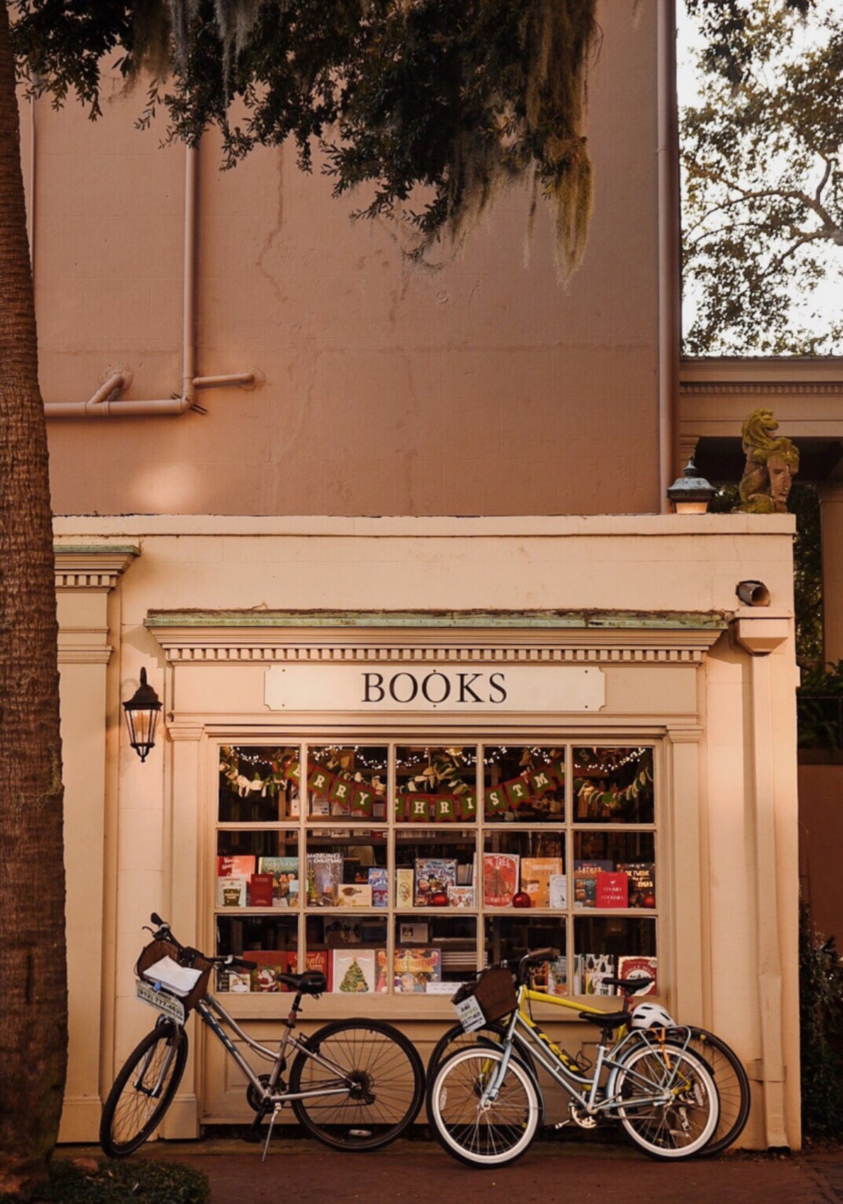 Encantadora escena callejera de librería