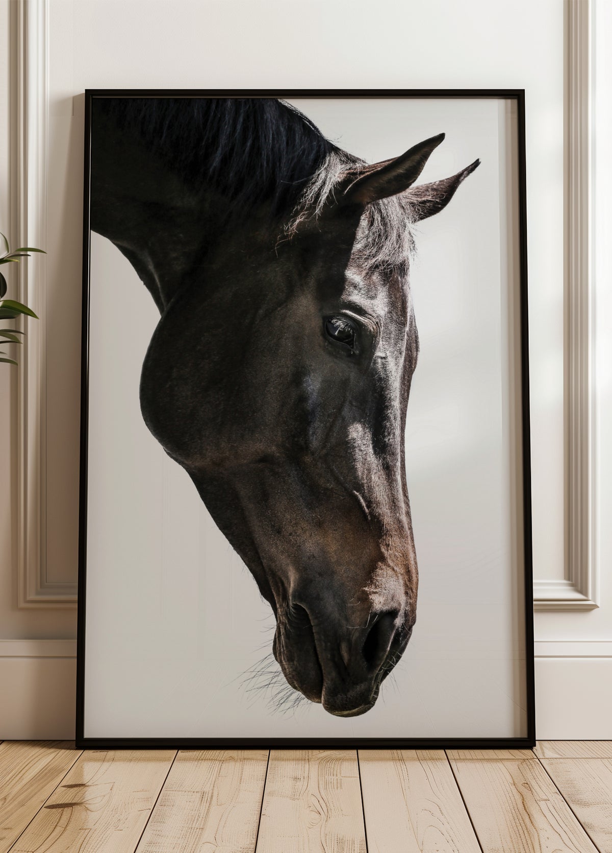 Gasa equina suave