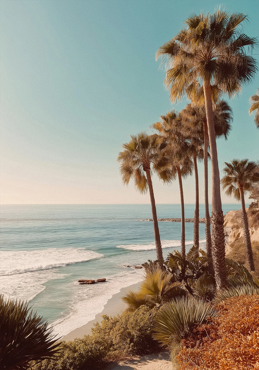 Palm Trees with Blue Sky (NEW) - Posterbox