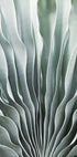 Nature's Grace (NEW) - Posterbox