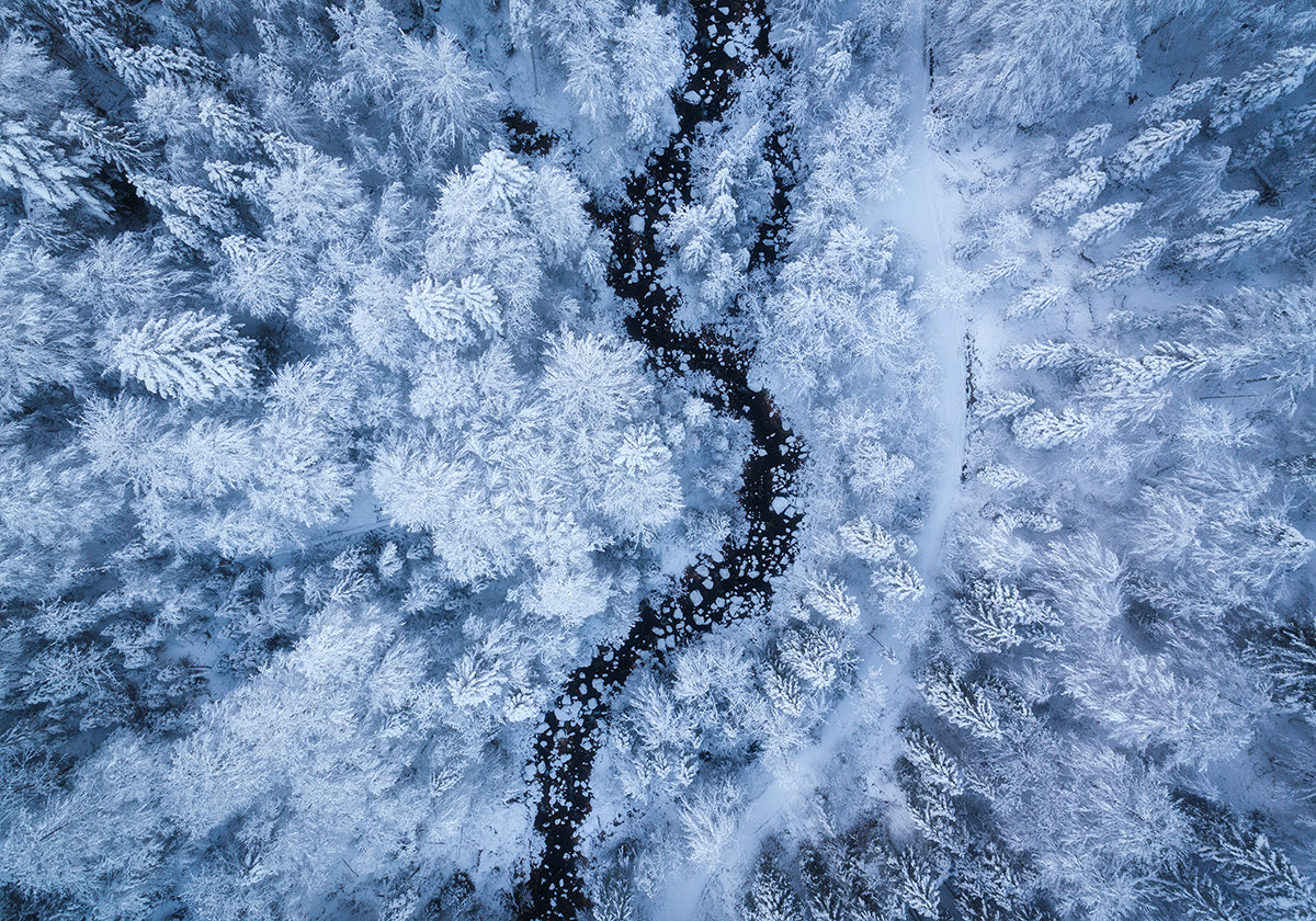 A Freezing Cold Beauty Plakat - Posterbox