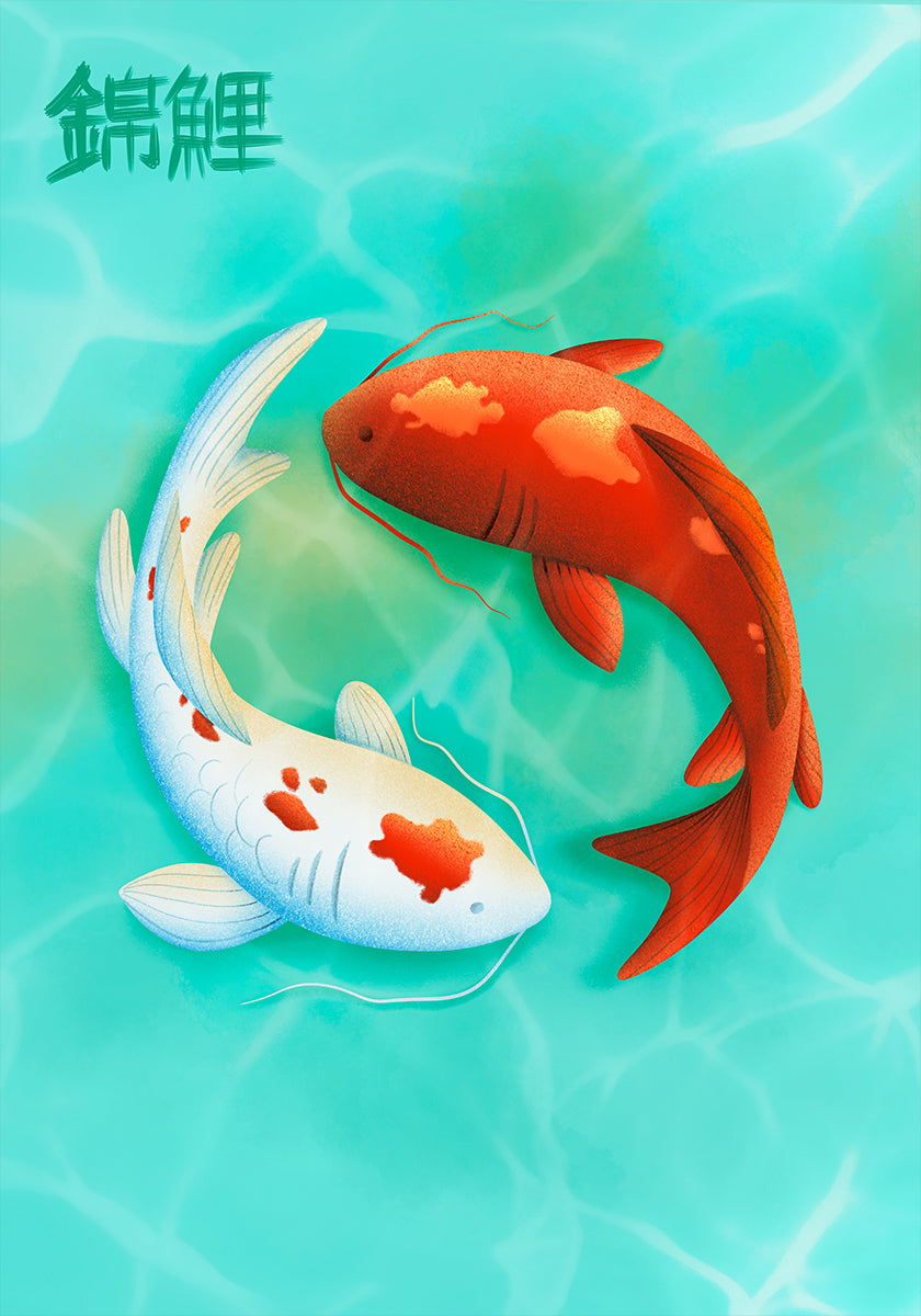 Koi Love Plakat - Posterbox