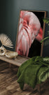 Flamingo Hide In Their Feathers Plakat - Posterbox.dk