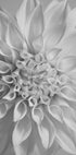 Flower Plakat - Posterbox.dk