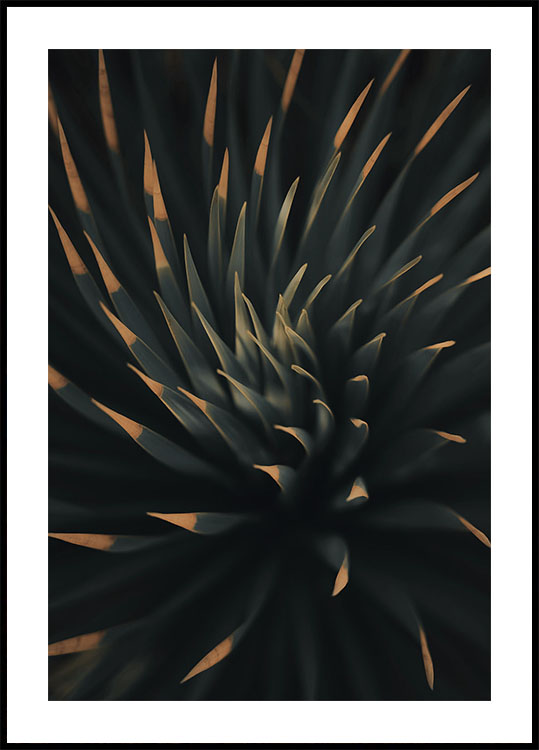 Spiral Plant Texture Plakat - Posterbox.dk
