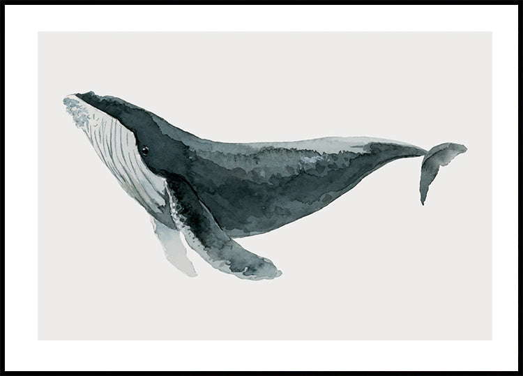 Watercolor Whale Plakat - Posterbox.dk