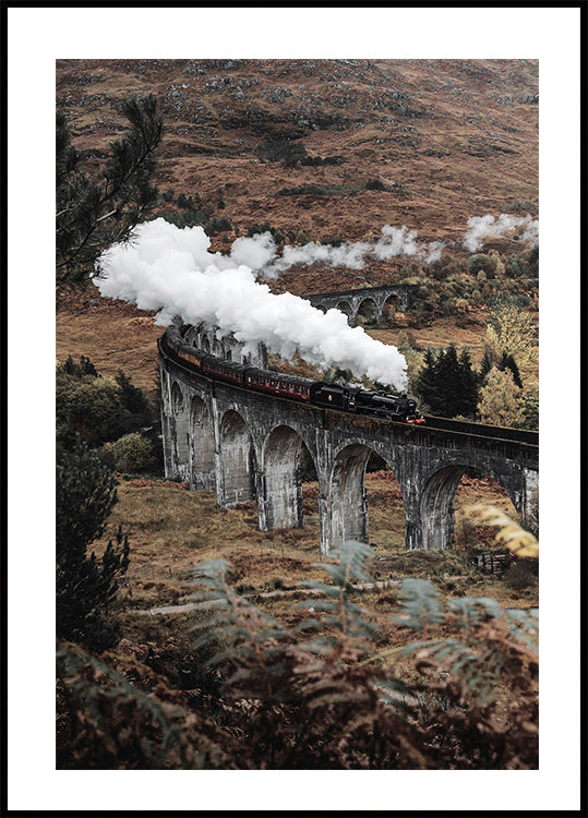 Steam Train Plakat - Posterbox.dk