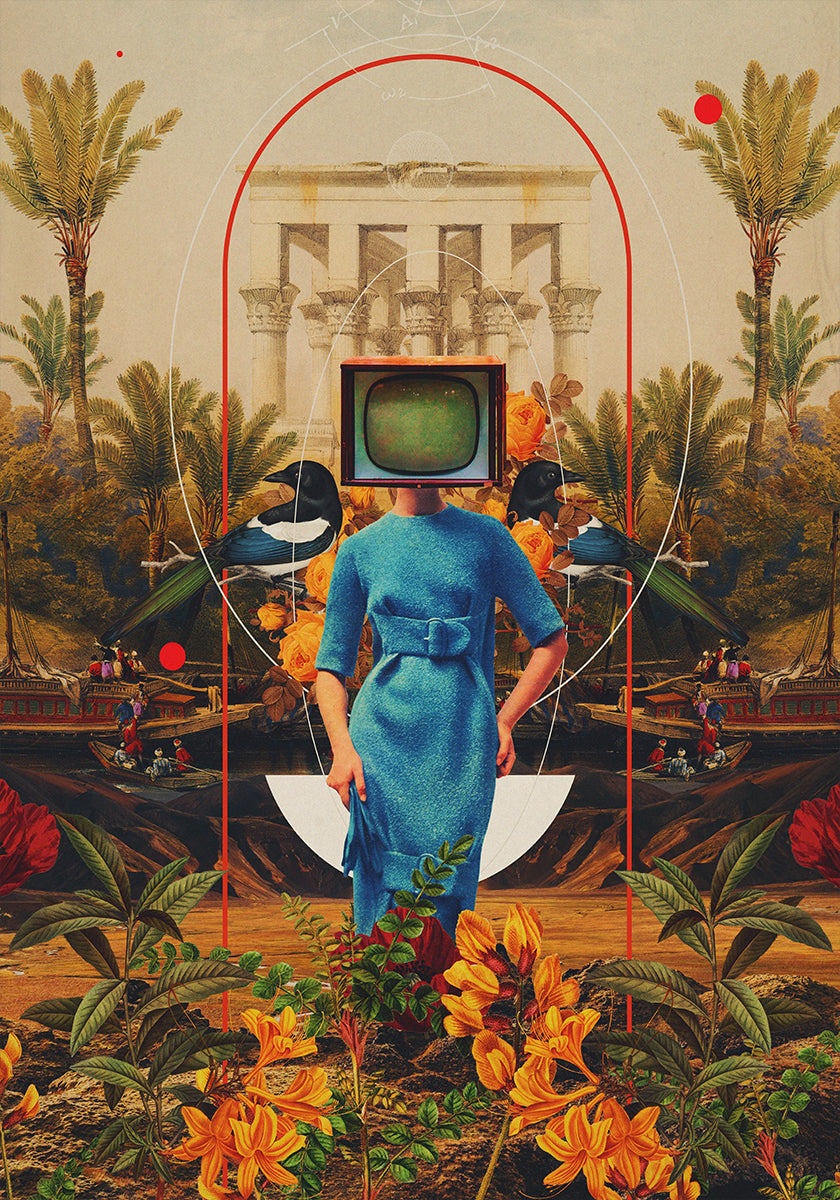Her Asymmetries Plakat - Posterbox