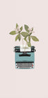 Botanical typewriter Plakat - Posterbox