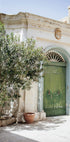 Green Door Plakat - Posterbox.dk