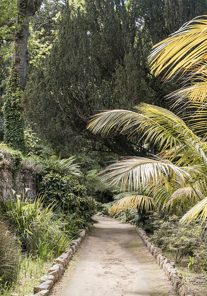 Tropical Walk Plakat - Posterbox