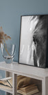 Horse Eye Plakat - Posterbox.dk