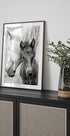 The Foal - Posterbox