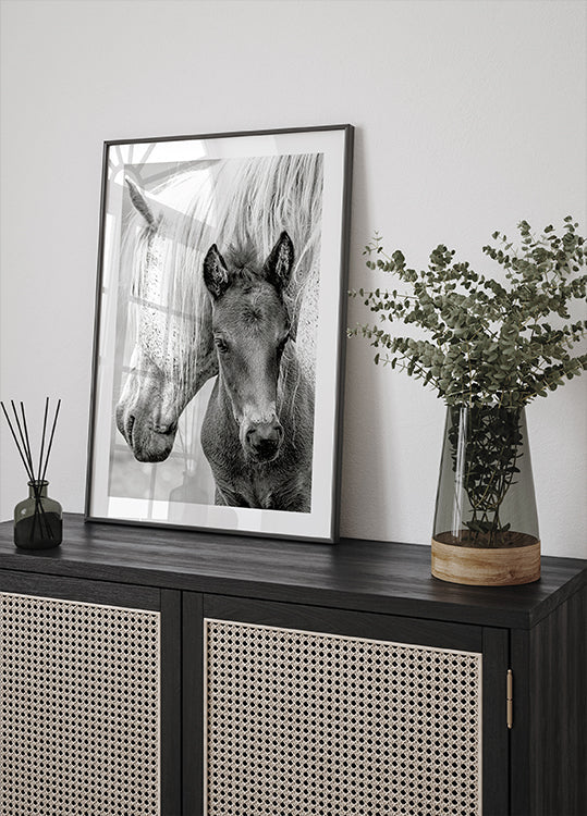 The Foal - Posterbox