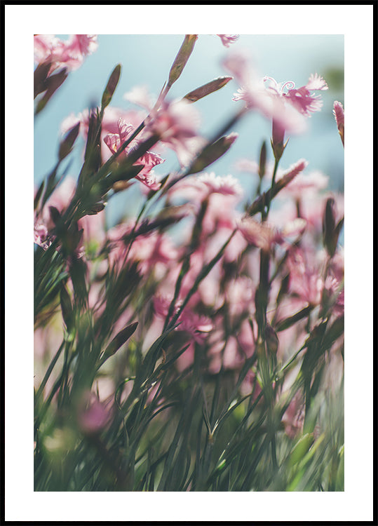 Una vista cercana de un campo de flores rosadas con tallos verdes, creando una escena vibrante y natural.
