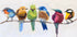 Birds On a Branch Plakat - Posterbox