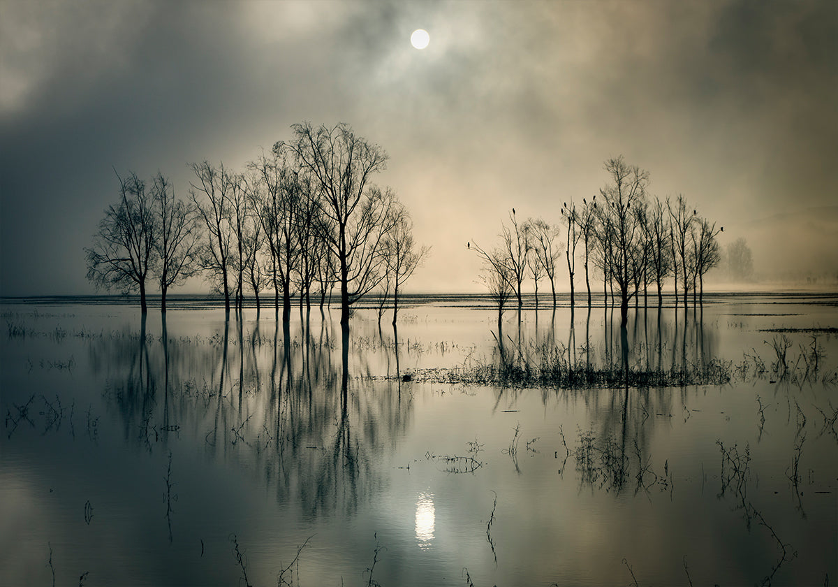Lake's Secret - Posterbox