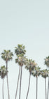 Blue Palm Trees Plakat - Posterbox