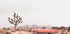 In the desert Plakat - Posterbox