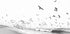 Seascape BW Plakat - Posterbox