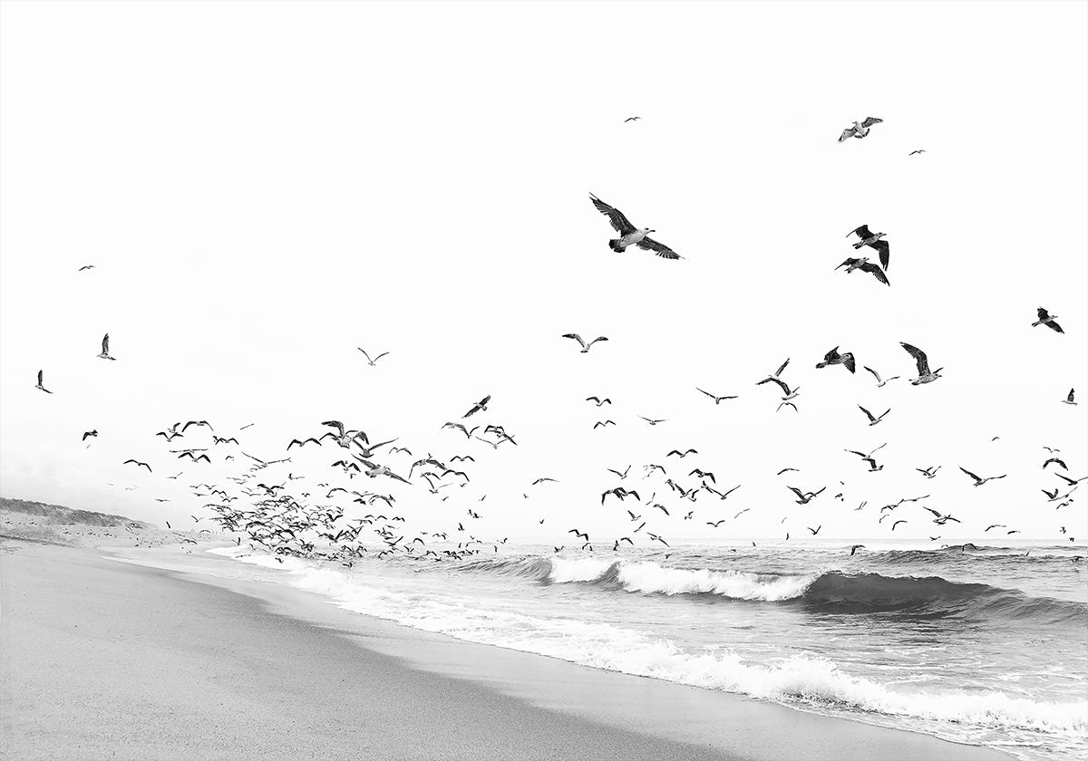 Seascape BW Plakat - Posterbox