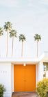 Palm Springs 1 (NEW) - Posterbox