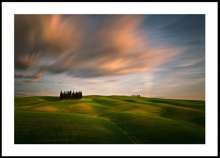 Fields... - Posterbox